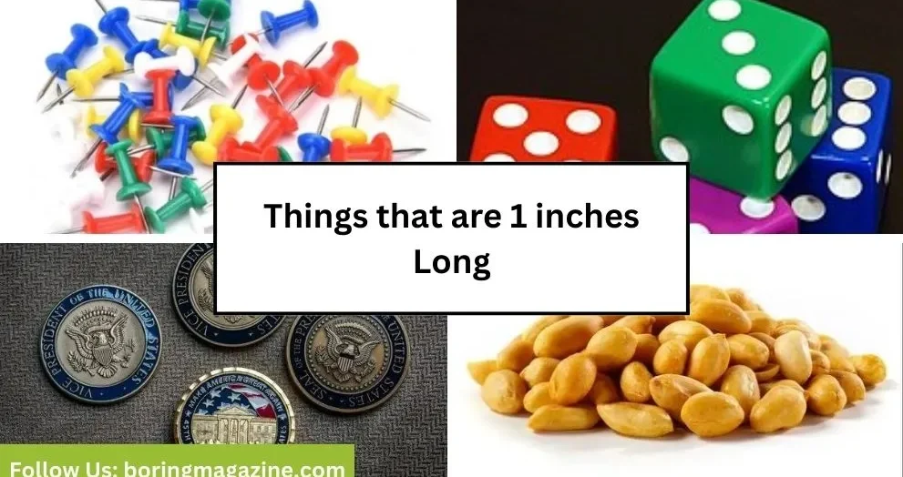 objects that 1 inches long