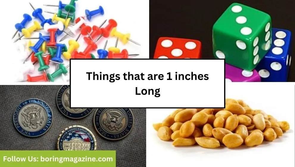 objects that 1 inches long