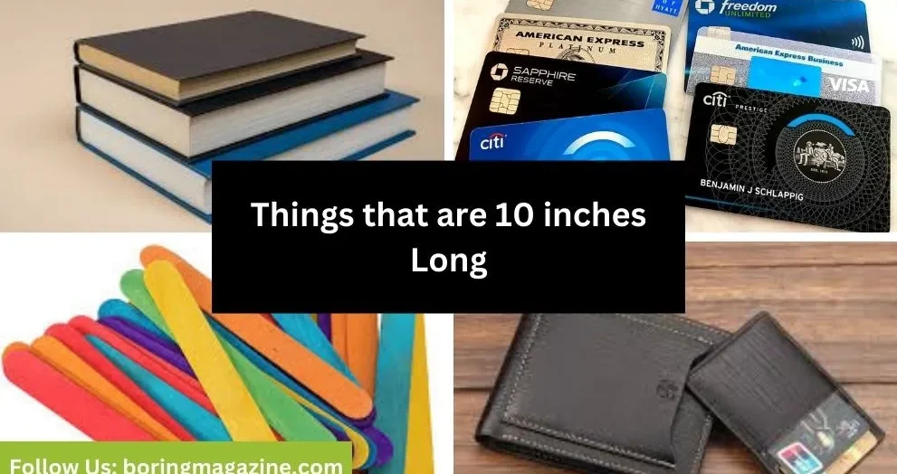 objects that 10 inches long