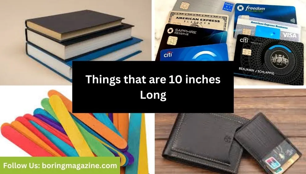 objects that 10 inches long