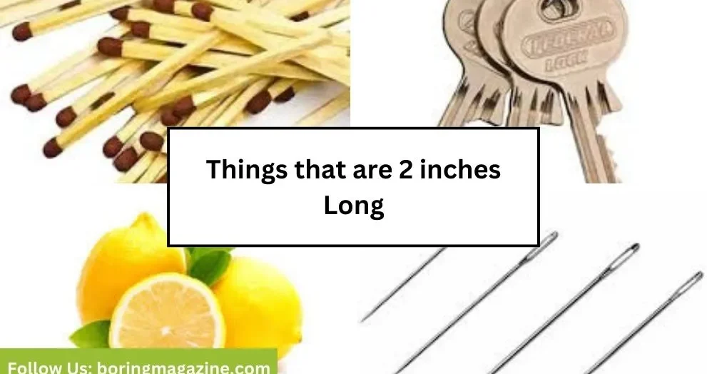 objects that 2 inches long