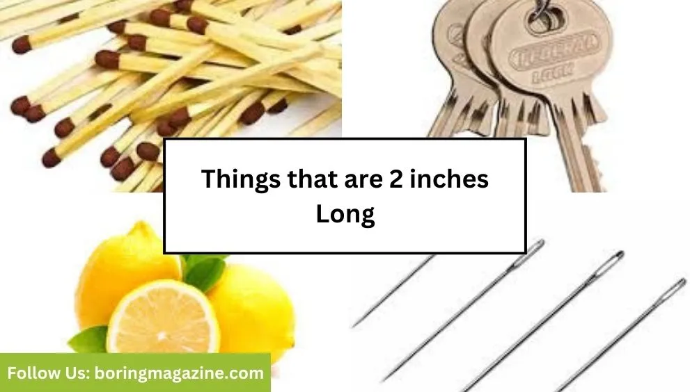 objects that 2 inches long