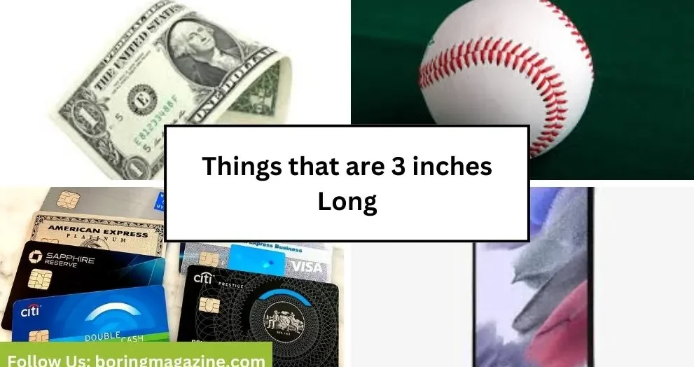 objects that 3 inches long