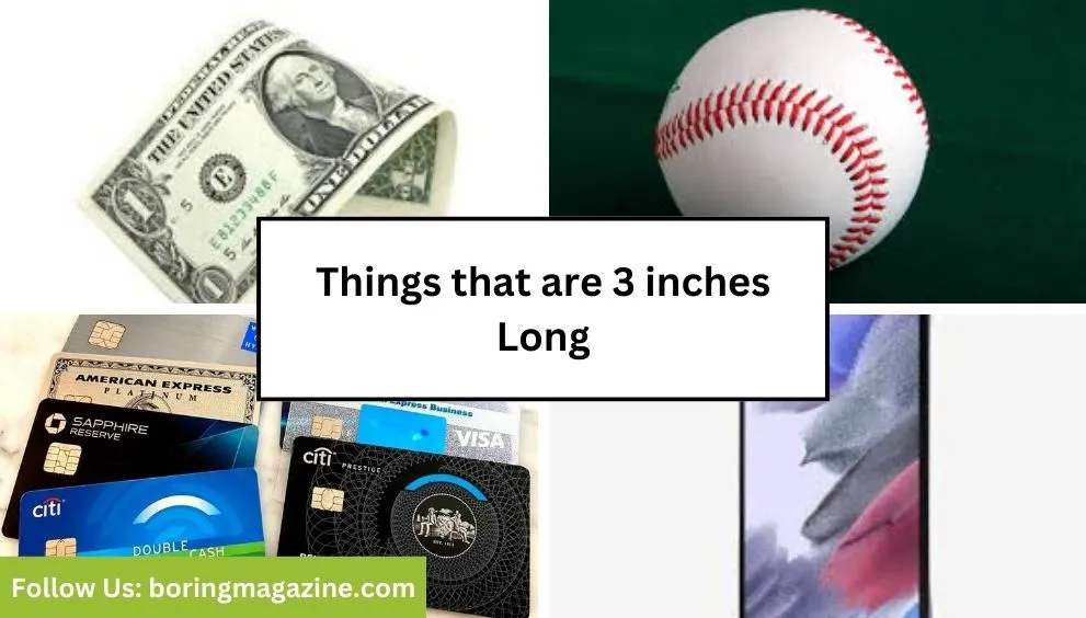 objects that 3 inches long