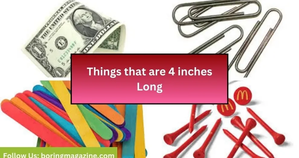 objects that 4 inches long