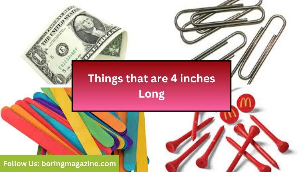 objects that 4 inches long