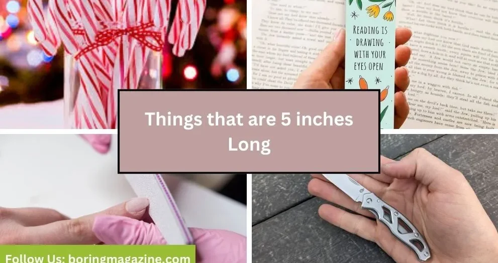 objects that 5 inches long