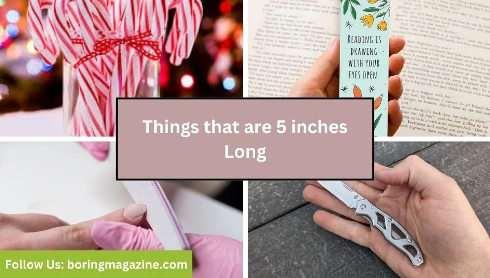 objects that 5 inches long