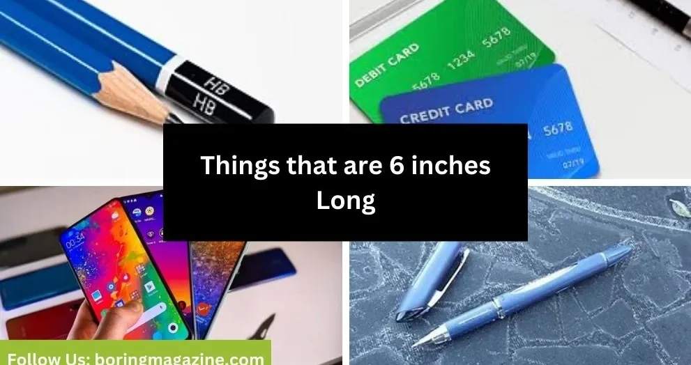 objects that 6 inches long