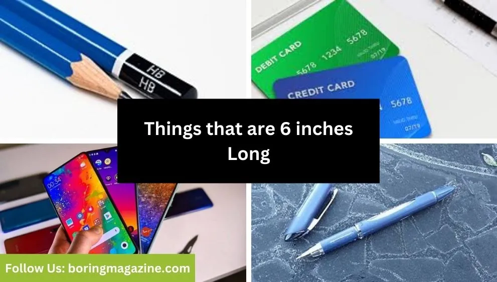 objects that 6 inches long