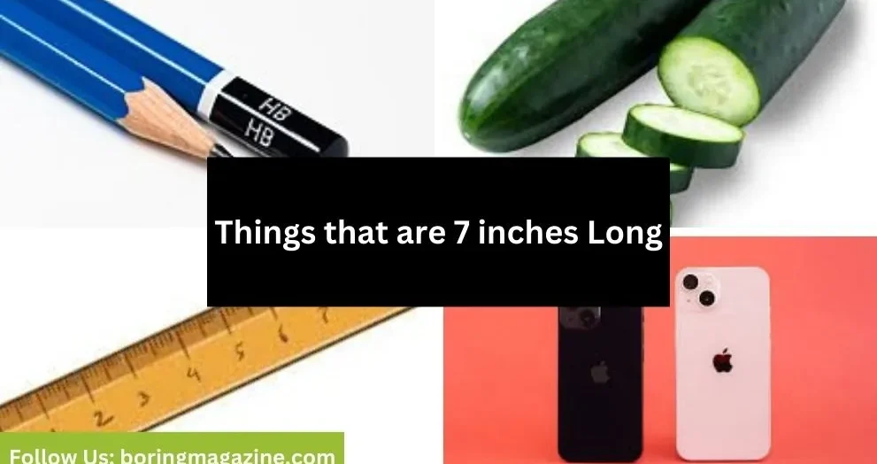 objects that 7 inches long