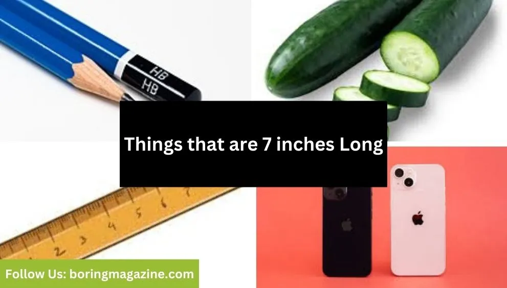 objects that 7 inches long