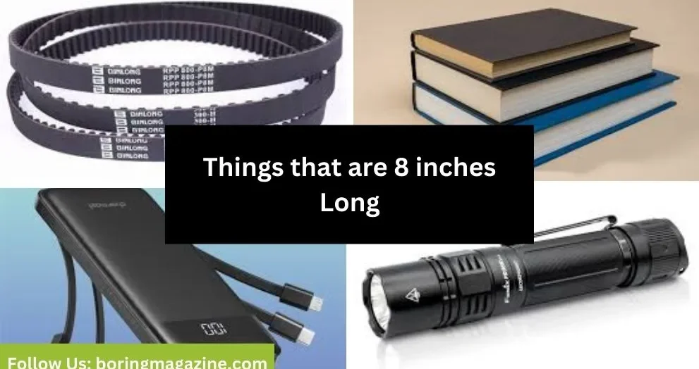 objects that 8 inches long