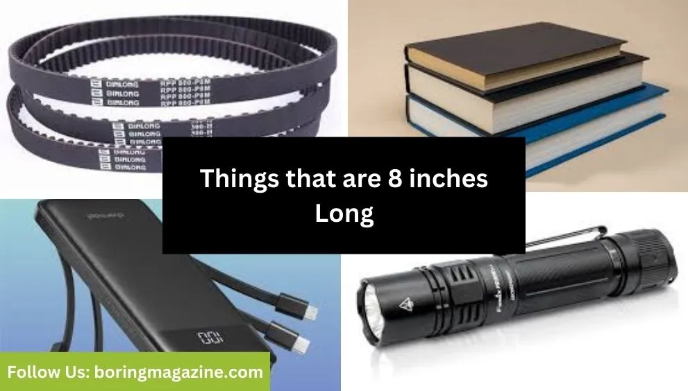 objects that 8 inches long