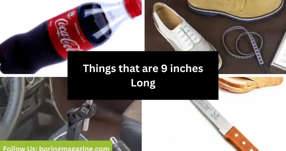 objects that 9 inches long