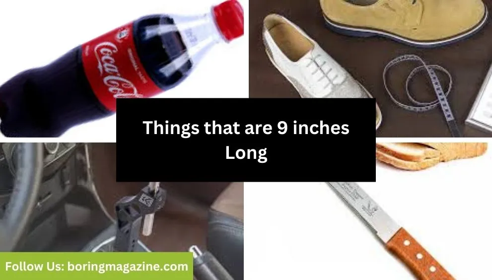 objects that 9 inches long