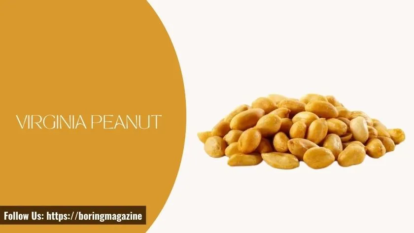 virginia peanut