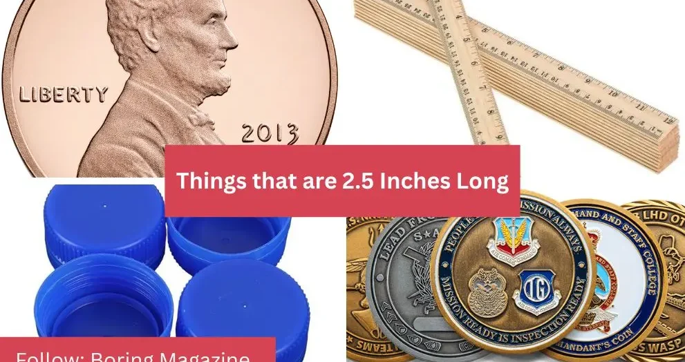 things that are 2.5 inches long