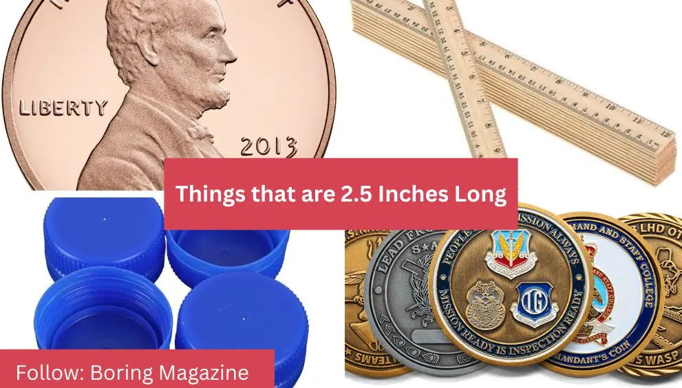 things that are 2.5 inches long