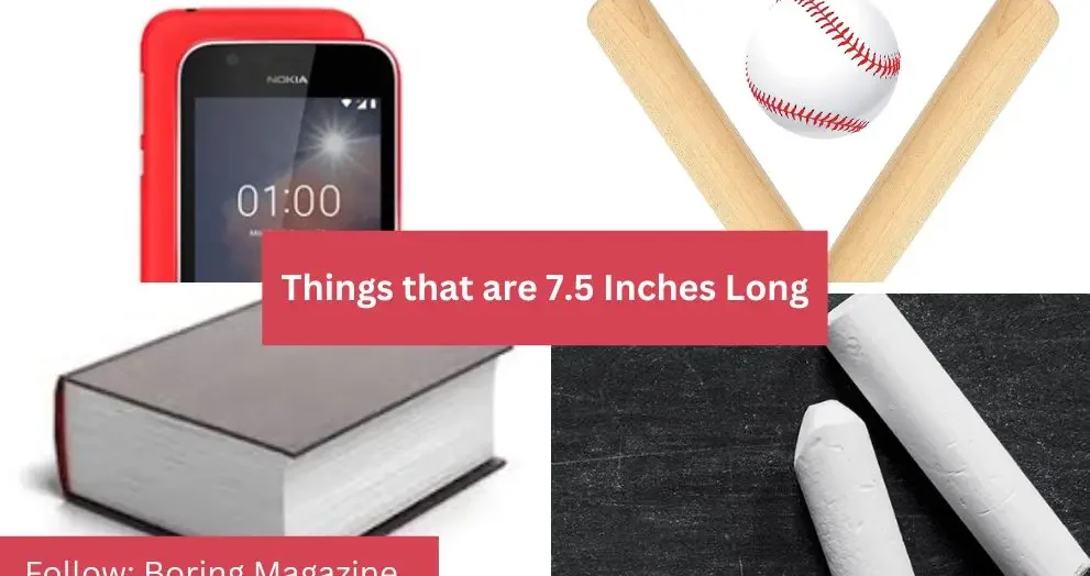 objects that are 7.5 inches long