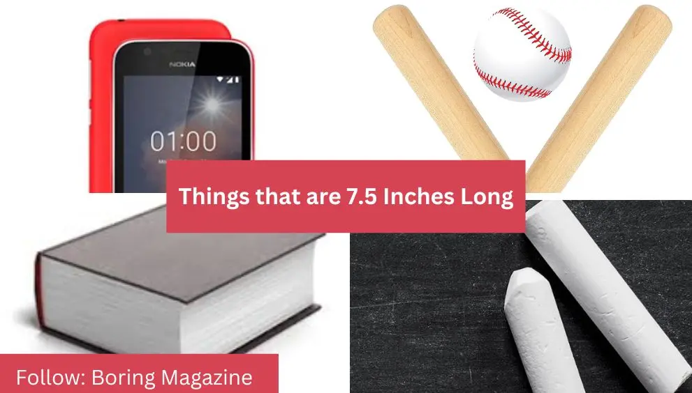 objects that are 7.5 inches long