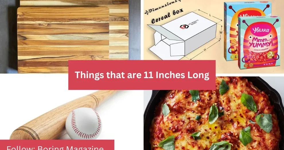 objects that are 11 inches long