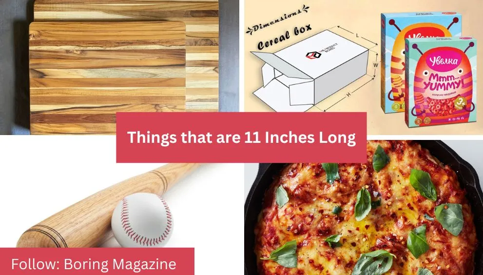 objects that are 11 inches long