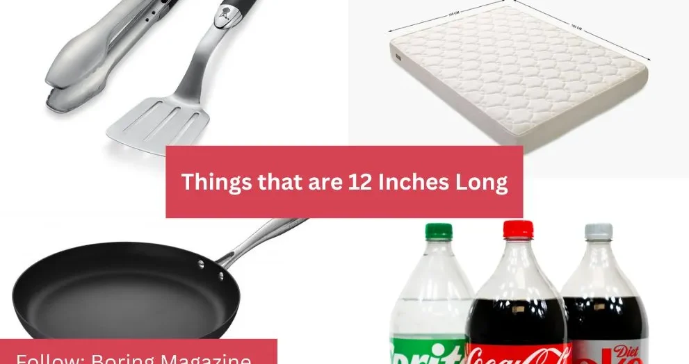 objects that are 12 inches long