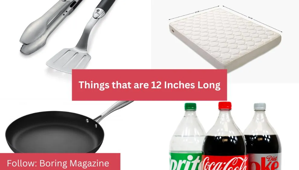 objects that are 12 inches long