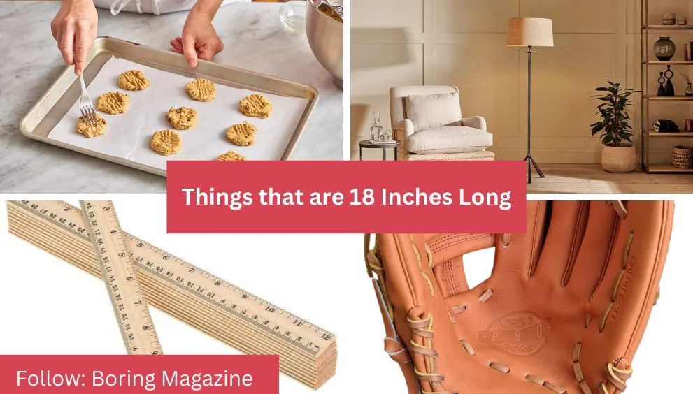 objects that are 18 inches long