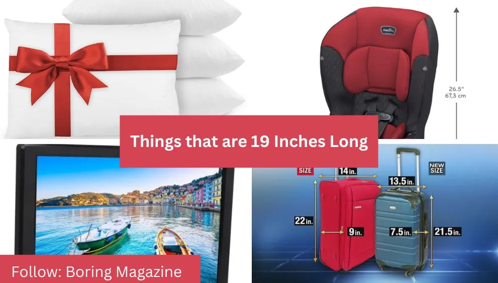 objects that are 19 inches long