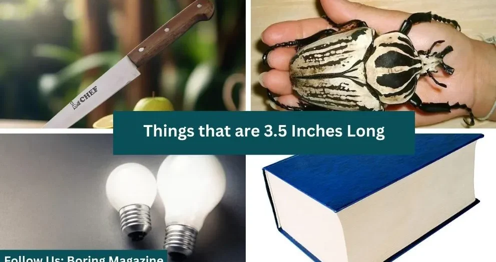 objects that are 3.5 inches long