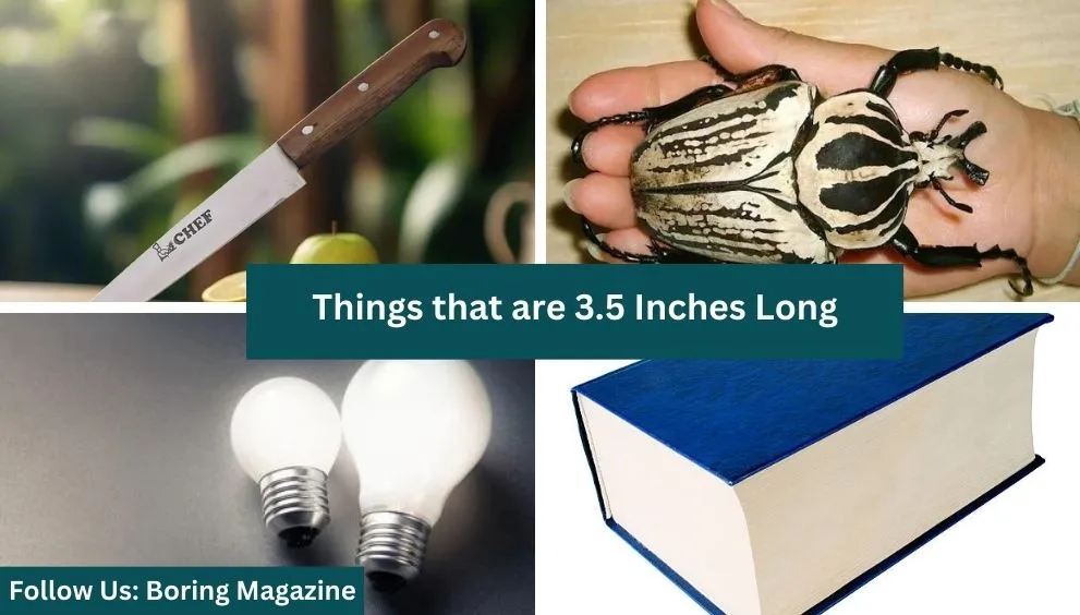 objects that are 3.5 inches long