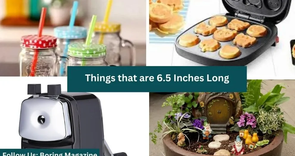 objects that are 6.5 inches long