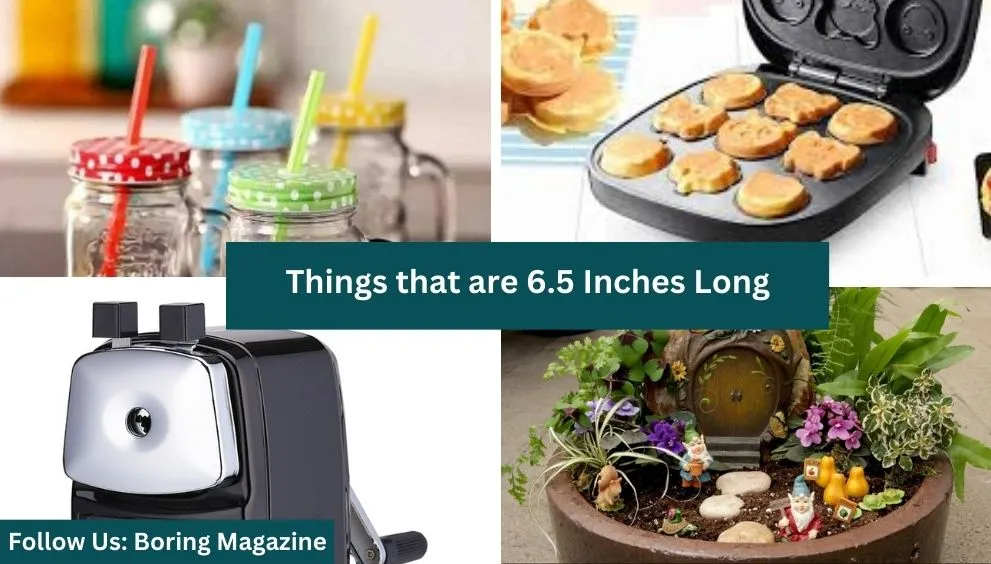 objects that are 6.5 inches long