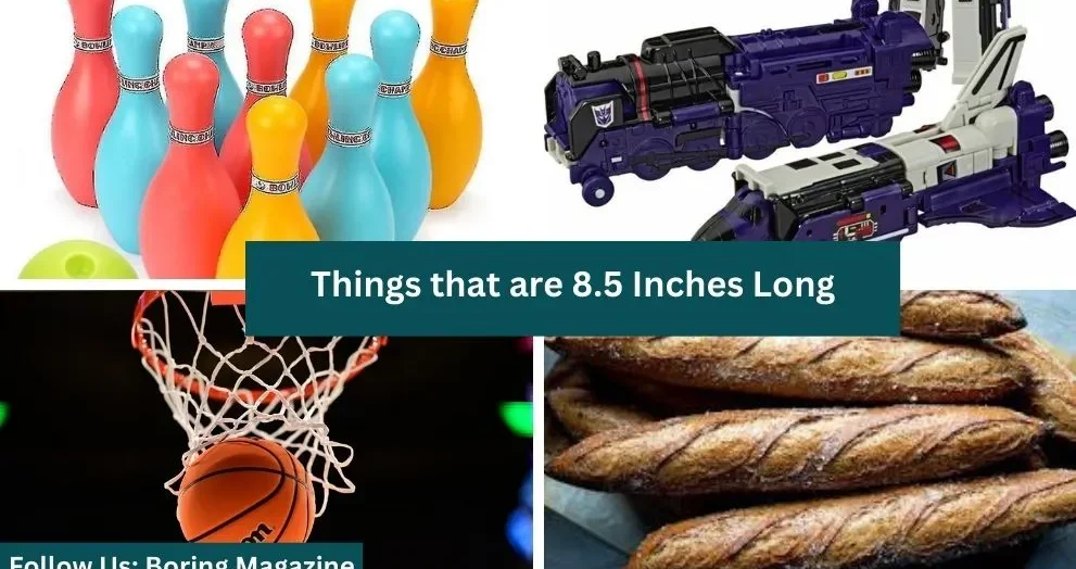 objects that are 8.5 inches long