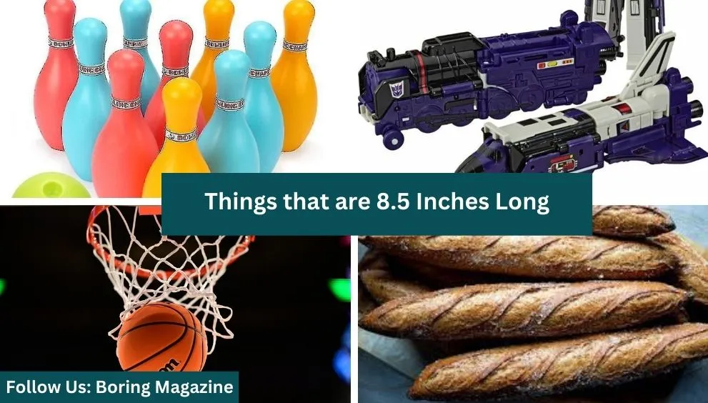 objects that are 8.5 inches long