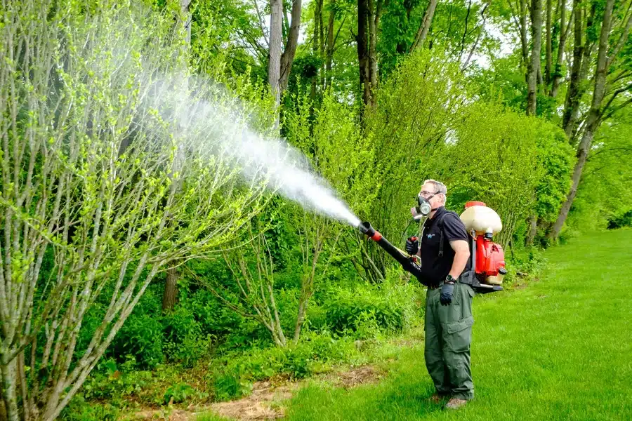 The Cost of Ignoring Pests – Why Orlando Residents Shouldn’t Wait for Extermination