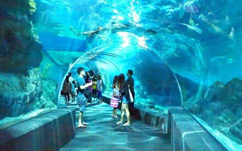 Top 5 Family Friendly Attractions in Bangkok