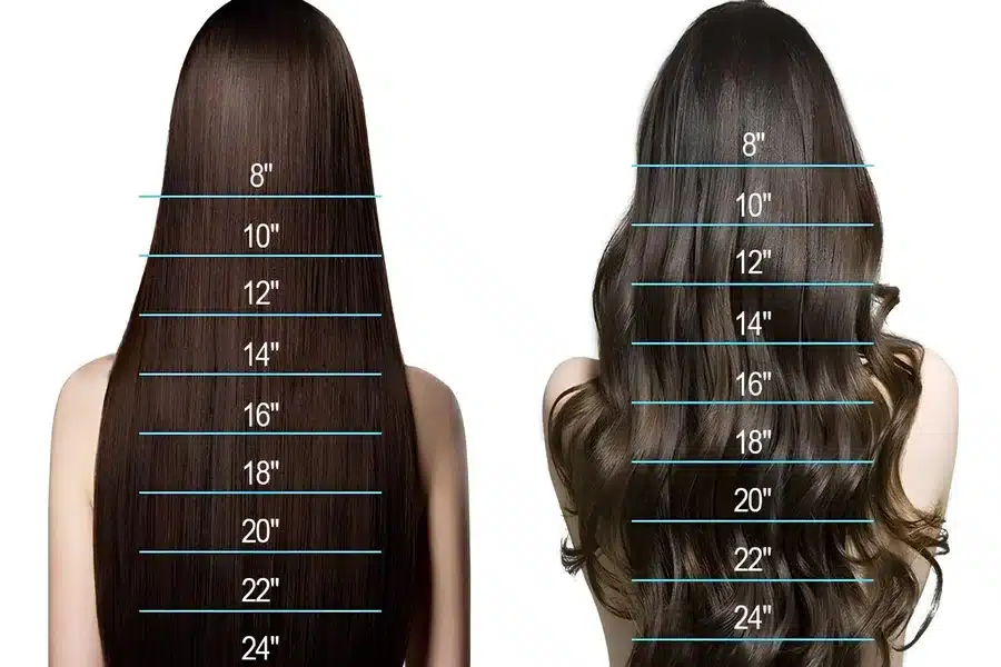 how long is 12 inches