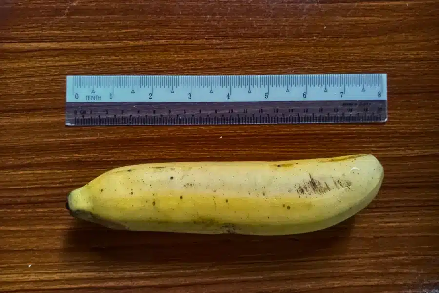 8 Inches