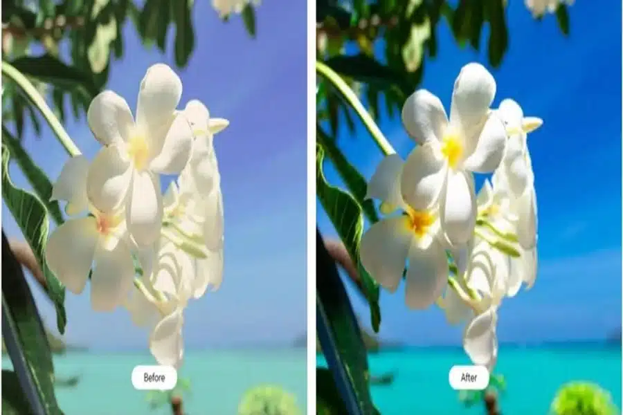 AMOLED Technology