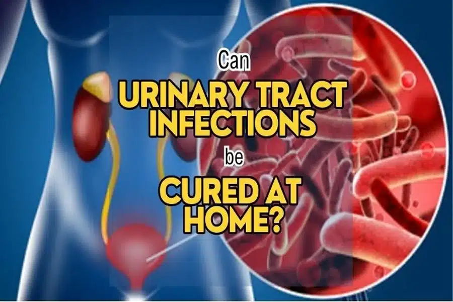 Urinary Tract