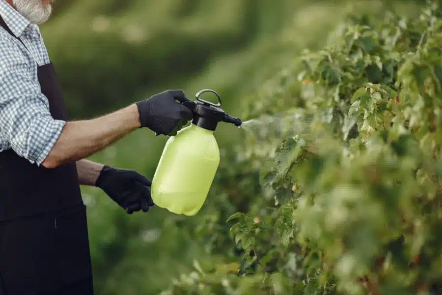 Effective Weed Control