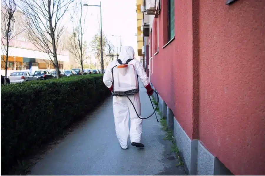 Pest Problems