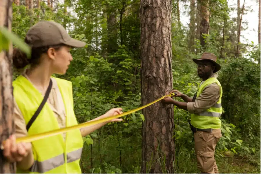 Evaluate Safety Measures and Insurance