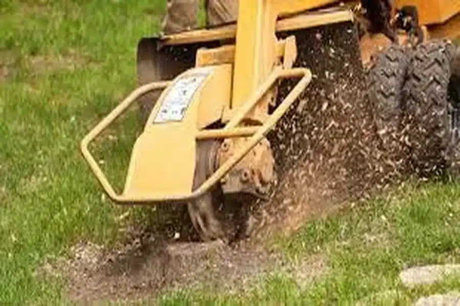 Stump Grinding