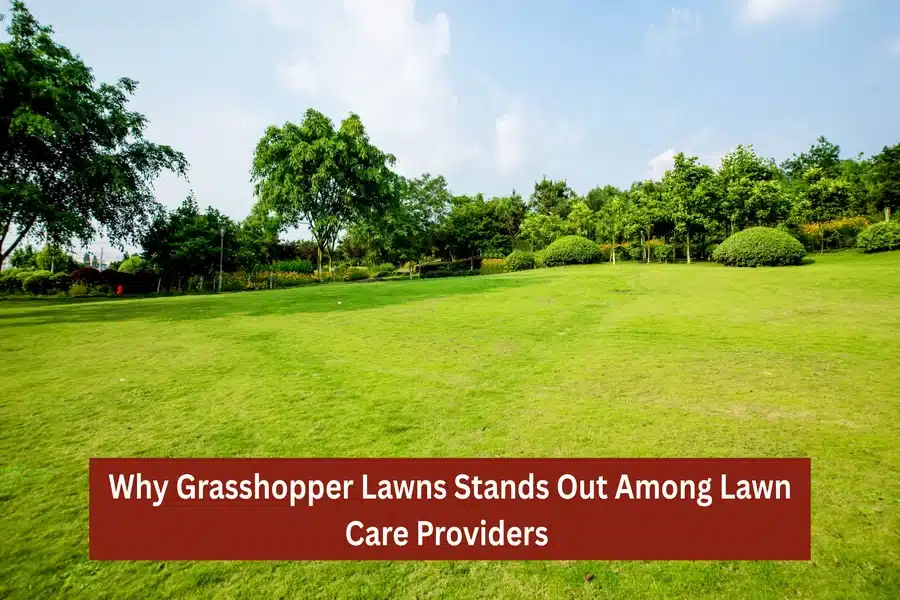 Why Grasshopper Lawns Stands Out Among Lawn Care Providers