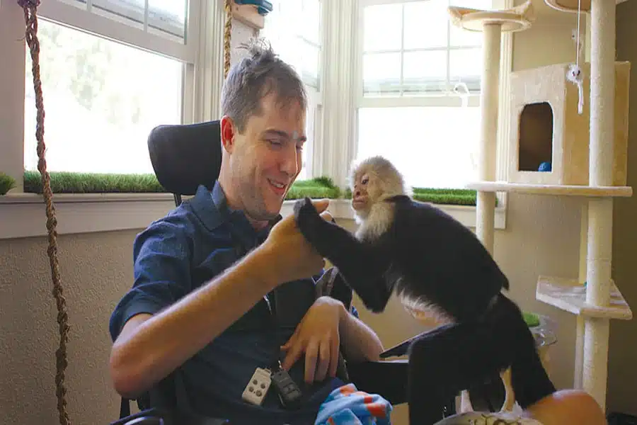 Capuchin Monkey Service Animal – Your Complete Guide