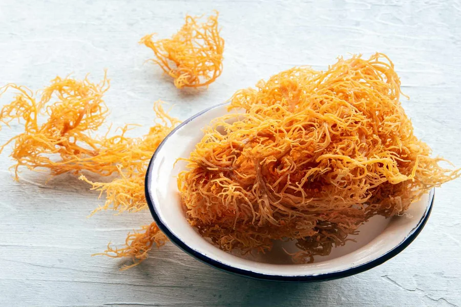 What to Know About Jamaican Sea Moss